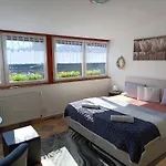 Apartmán U Bocmana S Výhledem Na Zámek A Labe