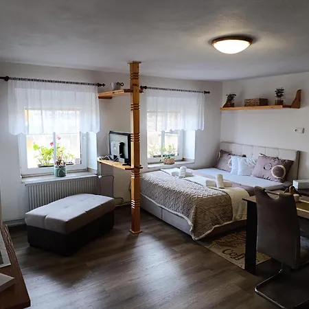 Apartament U Bocmana S Vyhledem Na Zamek A Labe *