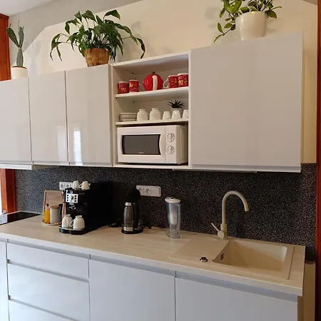 Appartement U Bocmana S Vyhledem Na Zamek A Labe