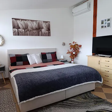 Apartment U Bocmana S Vyhledem Na Zamek A Labe *