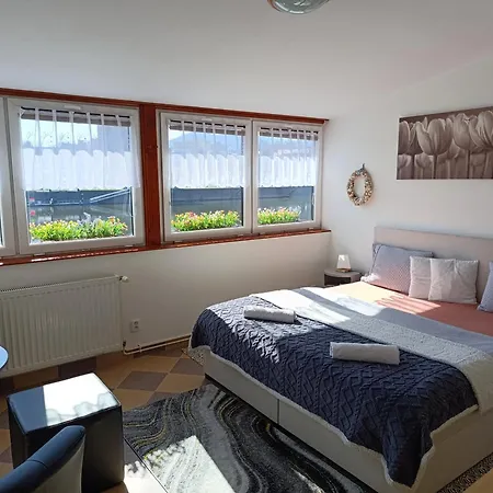 Apartment U Bocmana S Vyhledem Na Zamek A Labe