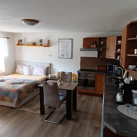 U Bocmana S Vyhledem Na Zamek A Labe Apartment